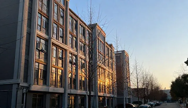 远程问诊服务适用情况与限制分析