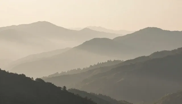健康体检套餐设计中医疗技术的影响因素分析
